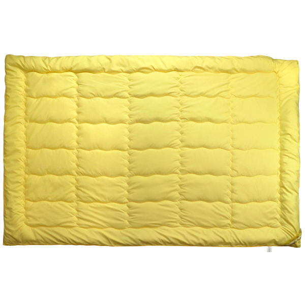 Одеяло Руно 140х205 силиконовое с пропиткой «Aroma Therapy» демисезонное (321.52Aroma Therapy)