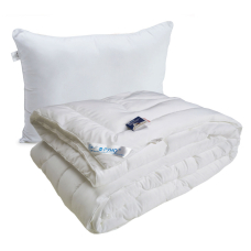 Набор Руно одеяло 140х205 + подушка 50х70 из искусственного лебяжьего пуха демисезон