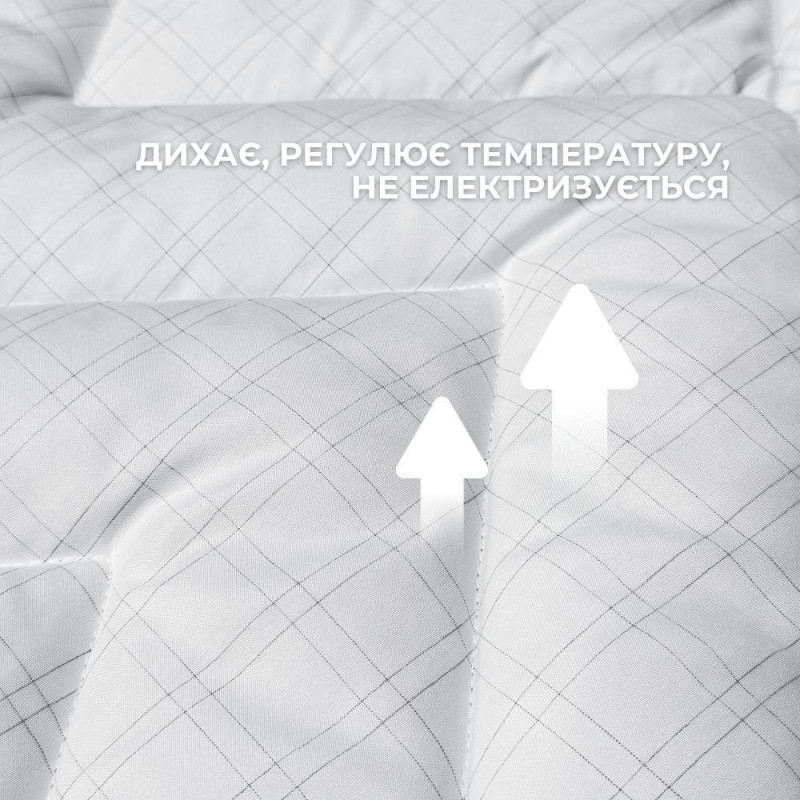 Одеяло Ideia 200х220 Antistatic Sleep всесезонное (8-36059)